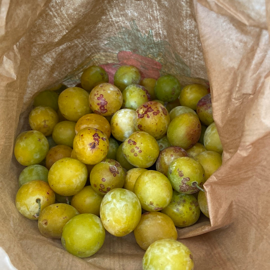 Mirabelles - 1kg