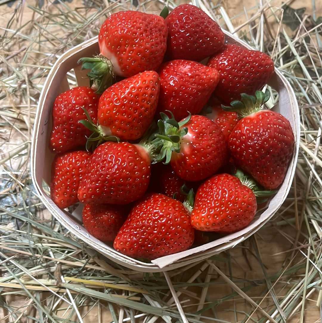 Fraises – 0,500gr