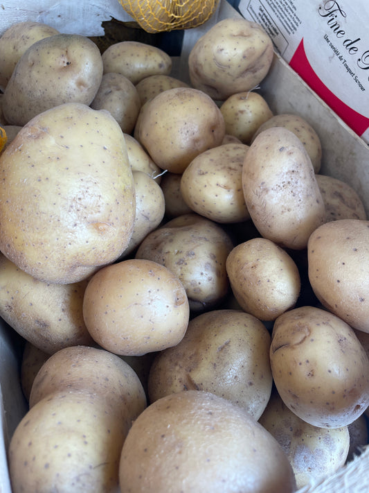 Pomme de terre excellency 2kg