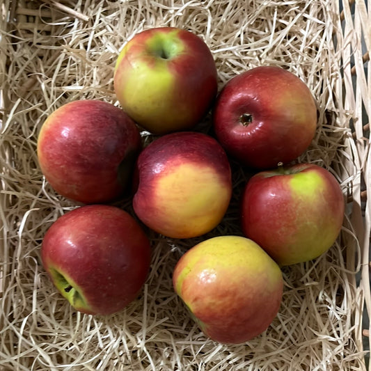 Pommes BIO - 1kg