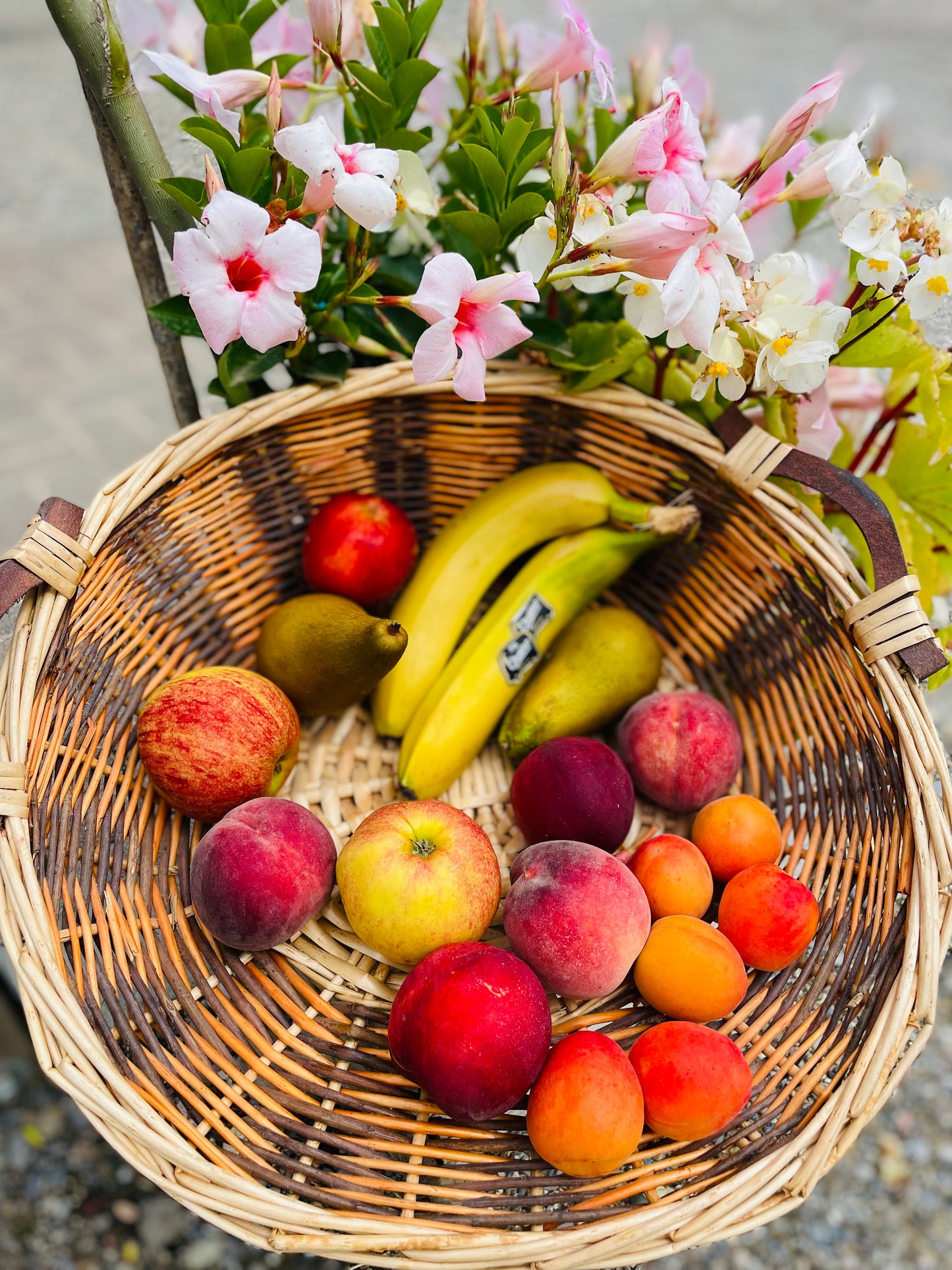 Panier fruits  – 10€