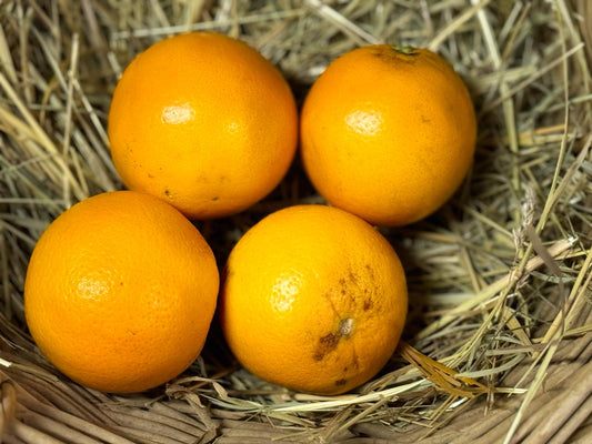 4 oranges BIO