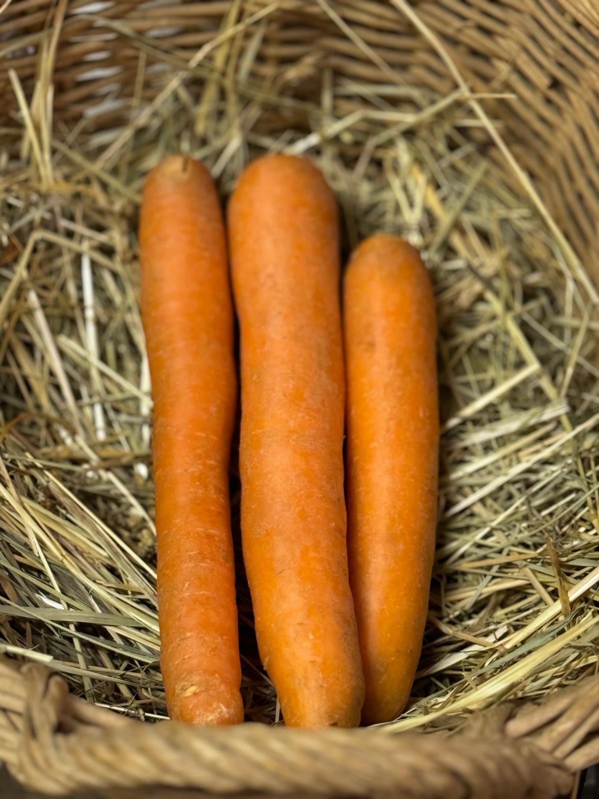 Carottes BIO - 0,500gr