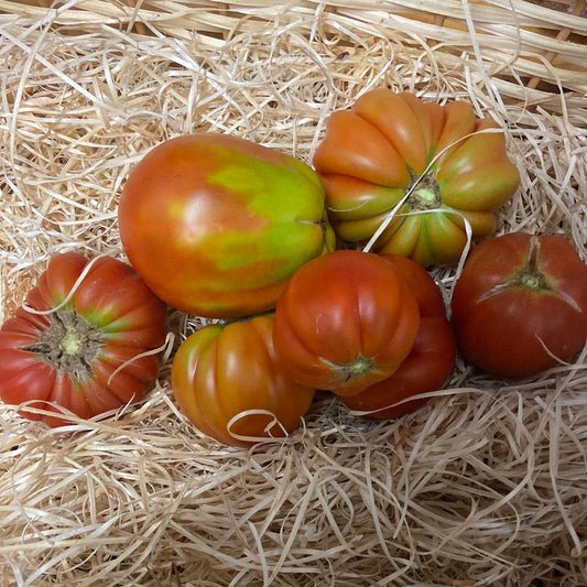 Tomates Cœur de Bœuf - 1kg