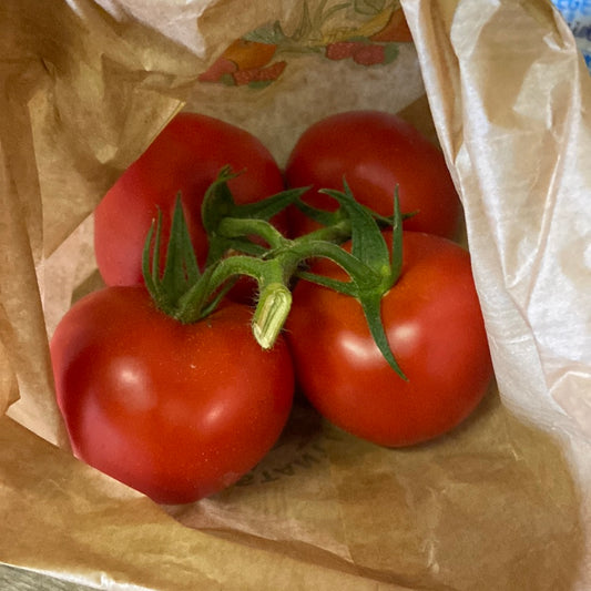 Tomates grappes - 0,500g