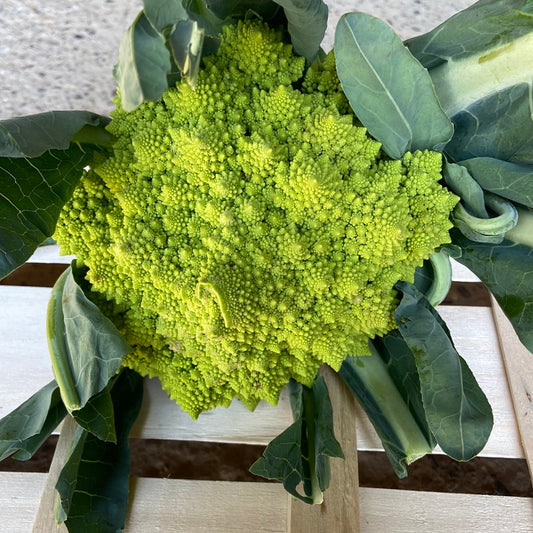 Romanesco