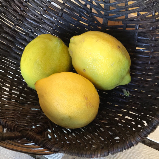 3 citrons jaunes non traités