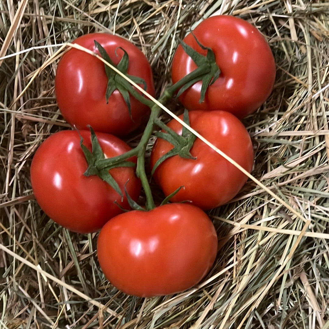 Tomates rondes - 0,500gr